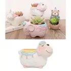 Resin Succulent Pot Garden Planter Flowerpot Herb Storage Box Home Table Decor
