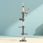 i.Pet 290cm Cat Tree Scratching Post For Large Cat Scratcher Hammock Tower House - Grey