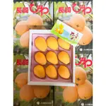「NICEFRUIT好果子」日本長崎溫室枇杷