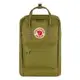 瑞典Fjallraven Kanken Laptop 15吋 筆電後背包 FR23524-631 叢葉綠