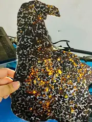 358g SERICHO pallasite Meteorite slice from Kenya