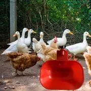 Automatic Chicken Water Cup Chicken Feeder Cup for Geese Hen Water Dispenser