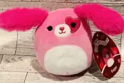 Valentine Squishmallows Sager Pink Dog 4.5” Heart Great Gift! Ships Fast!
