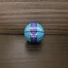 Charlotte Hornets Mini Basketball