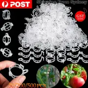 50-500Pcs Tomato Greenhouse Garden Plant Support Veggie Clip Trellis Twine Clear