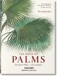 在飛比找博客來優惠-The Book of Palms / Das Buch d