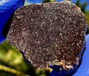 meteorite: NWA 16875 Weight 4.813 Grams. Beautiful!!