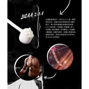 即期品促銷【 ATP Science 】澳洲 BCAA 2:1:1 支鏈胺基酸粉 250g