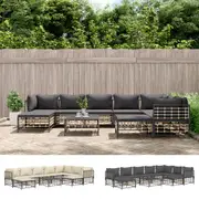 Outdoor Lounge Set 10 Piece Outdoor Sofa Set with Cushions Poly Rattan vidaXL