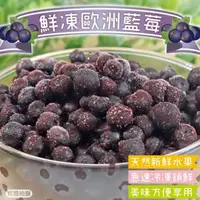 在飛比找森森購物網優惠-果物樂園-冷凍歐洲藍莓1包(約200g/包)