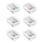 6PK Lemon & Lime Yorkshire Durable Glass Fresh Lock Food Storage Container 1L