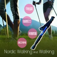 在飛比找momo購物網優惠-【瘋靡歐美】高CP健步杖北歐瘋健走杖(直播限時專賣)