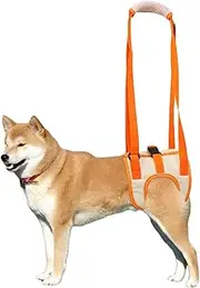 Adjustable Dog Sling Harness - Rear Leg Support Dogs Harness Comfy Design with Hind Leg for Elderly Injured Arthritic Senior Disabled Disabled Rehabilitation Aid Dog (Orange, Large)