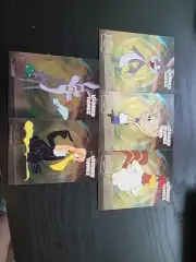 2024 Fleer Looney Tunes METAL PMG Insert Lot Z force, Pink /300 OPENED BOX HOBBY