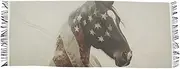 [AIXIWAWA] American Horse Women's Pashminas Scarf, Shawls Wrap Lightwight Tassel for Evening Dress Dinner Party, Multicolor