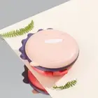 Compartmentalized Dinosaur Lunch Box Cartoon Food Containers Kids