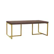 Shaan Coffee Table - Walnut and Gold