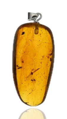 Swarm - Natural Burmese Amber Pendant with Fossil Inclusion Sterling Silver