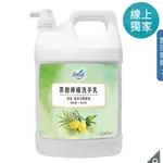 花仙子 茶樹檸檬洗手乳 3.8公升 防疫 洗手乳 好市多 COSTCO