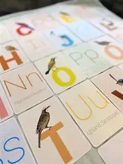 ABC Australian Bird Flash Cards