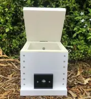 Easy Access Stingless Native Bees Hive OATH Mini BeeHive Tetragonula Viewing