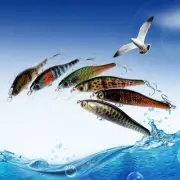 6 Pcs Fishing Lures Freshwater Saltwater Hooks Crankbait Kit