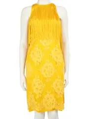Yellow Tassel Fringe Dress