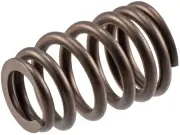 Valve Spring Melling VS2244