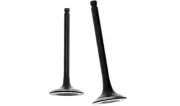 Intake Exhaust Valve For Craftsman C0010020 2200 Watts Inverter Generator