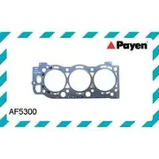 Payen Head Gasket - AF5300