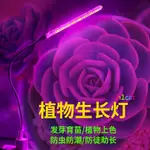 【H1CAT】2021新款USB LED植物燈生長燈室內陽光補光燈花卉盆栽燈多肉臺燈