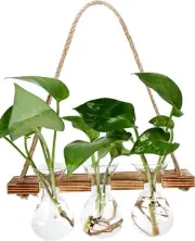 Wall Hanging Planter for Indoor Plants - Unique Propagation Stations with 3 Glas
