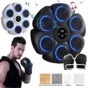 Wall-Mounted Boxing Reaction Target Training Equipment for Kids & Adults