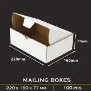 100x White Mailing Box 220 x 160 x 77mm A5 BX1 B1 Shipping Carton Mailer Box