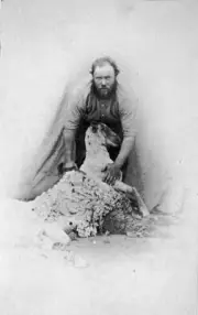 Blinman District 1865 A posed studio portrait of a shearer Australia OLD PHOTO