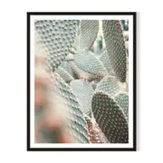 Full Cactus 2 Framed Printed Wall Art - Black