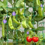 Trellis Netting for Climbing Plants, Heavy Duty Garden Vegetable Cucumber Grow N