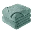 King Size Flannel Fleece Blanket, Super Soft Velvet King ( 90x104 IN ) Celadon