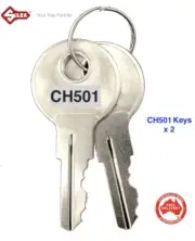 CH501 Keys x 2 -Flush Handle Paddle Lock -Tool Box Keys- Goliath, Southco, Yale