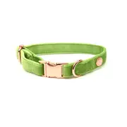 Holly & Co Granny Smith Green Large Green Premium Velvet Dog Collar