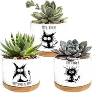 Black Cat Funny Plant Pots, 3PCS Cute Succulent Cactus 3.5 Inch Ceramic Flower Pot With Drainage Hole (Decorative Planter)