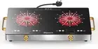 24" 2-Burner Electric Cooktop 2000W w/ Touch Screen & Timer - 120V