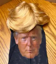 Funny Celebrity Wig Presidential Candidate Political Donald Trump Wig Costume