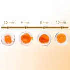 1/4 Eggs Cooker Boiler Breakfast Kitchen Poacher Microwavable Microwave Steame g