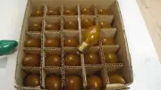 Vintage Christmas Yellow Frosted Light Bulb Lot New Old Stock C7