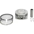 Vertex Cast Replica Piston Kits 24566050