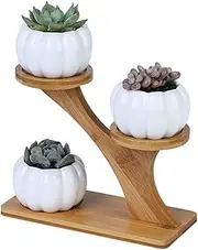3pcs Pumpkin Succulent Pots Bamboo Wood Shelf Flower Pot Stand Holder, Modern Minimalist White Ceramic Succulent Planter Pot for Office, Desk, House Balcony（Flower Pot Not Included）