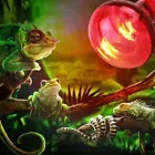 Arcadia InfraRed Solar Basking Spot Reptile Heat Lamp (E27) LightBulb 2024