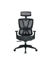 [OOS Living] Mecca Ergonomic Double Mesh Back and Seat Manager Chair in Black