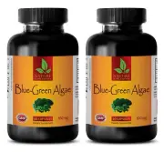 cholesterol care supplement - ORGANIC BLUE GREEN ALGAE - brain health 2 BOTTLE